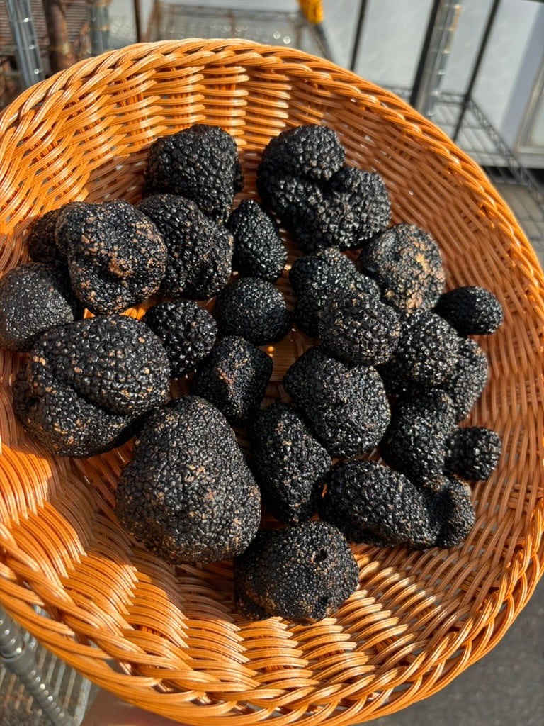Truffle