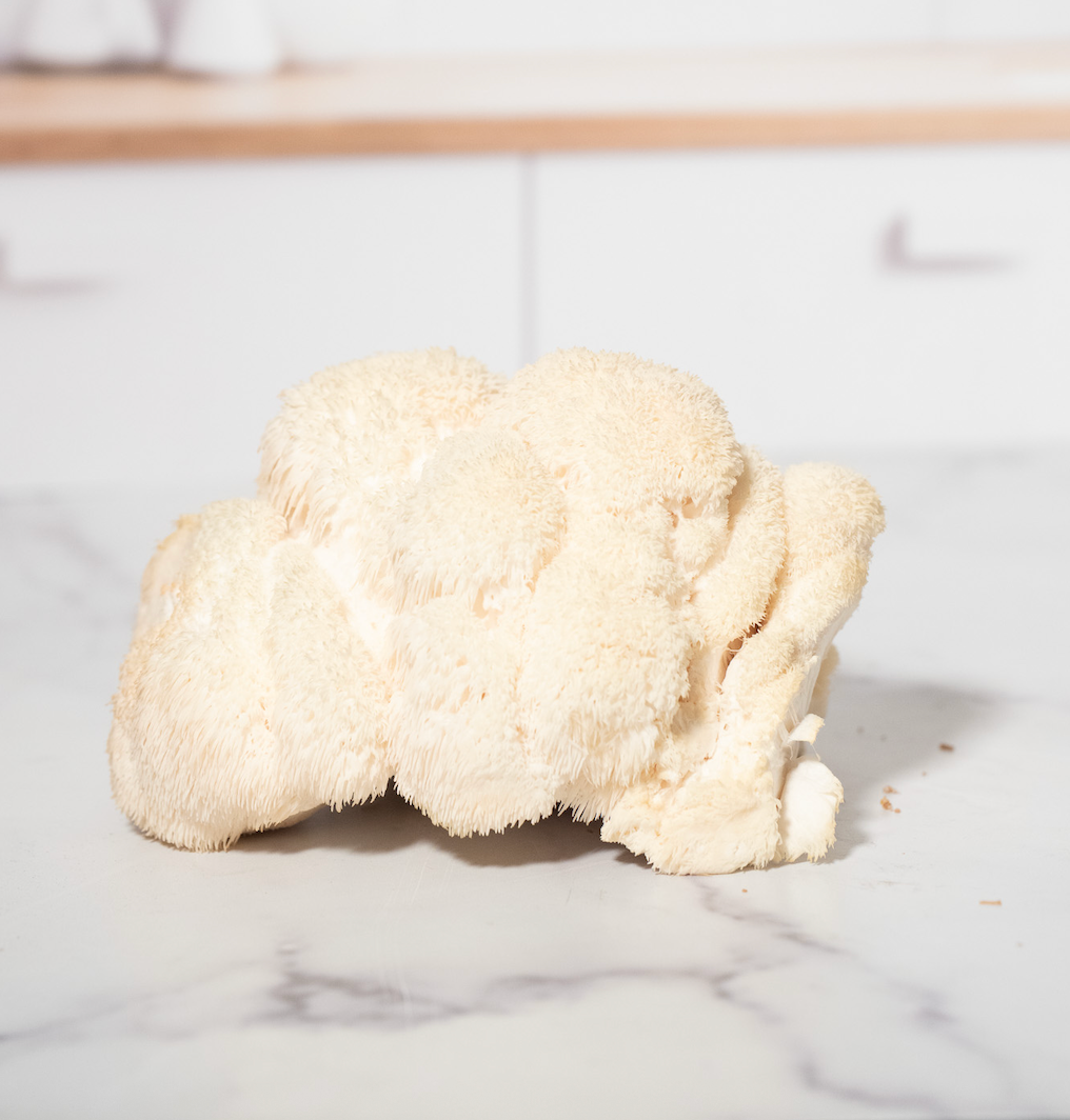 Lion's Mane