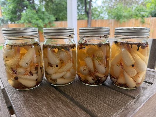 Pickled Ramp Bulbs