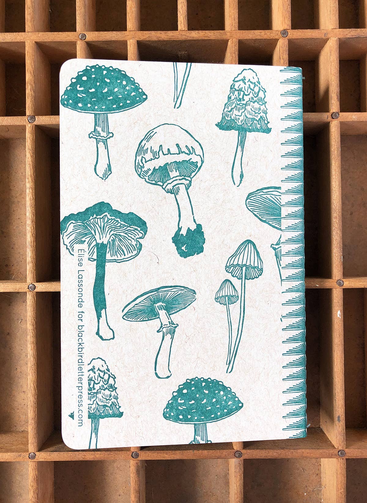 Mushrooms notebook