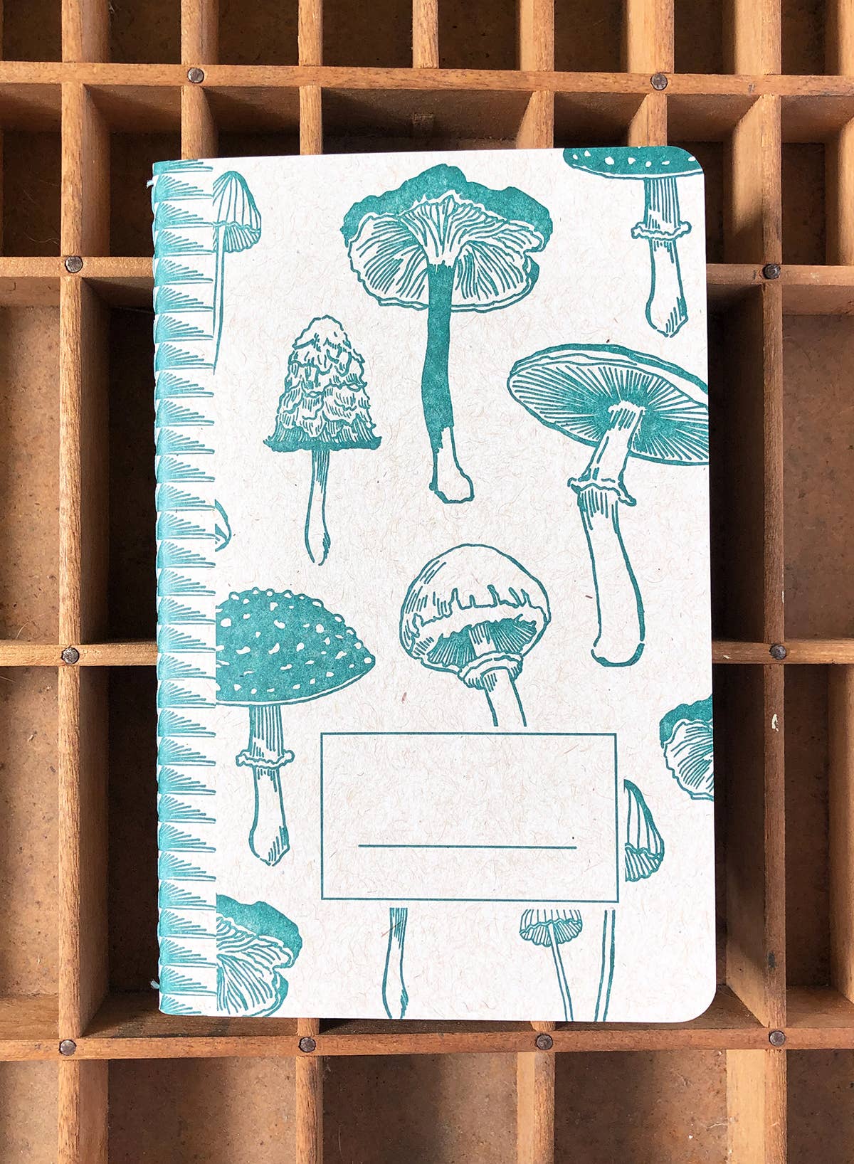 Mushrooms notebook