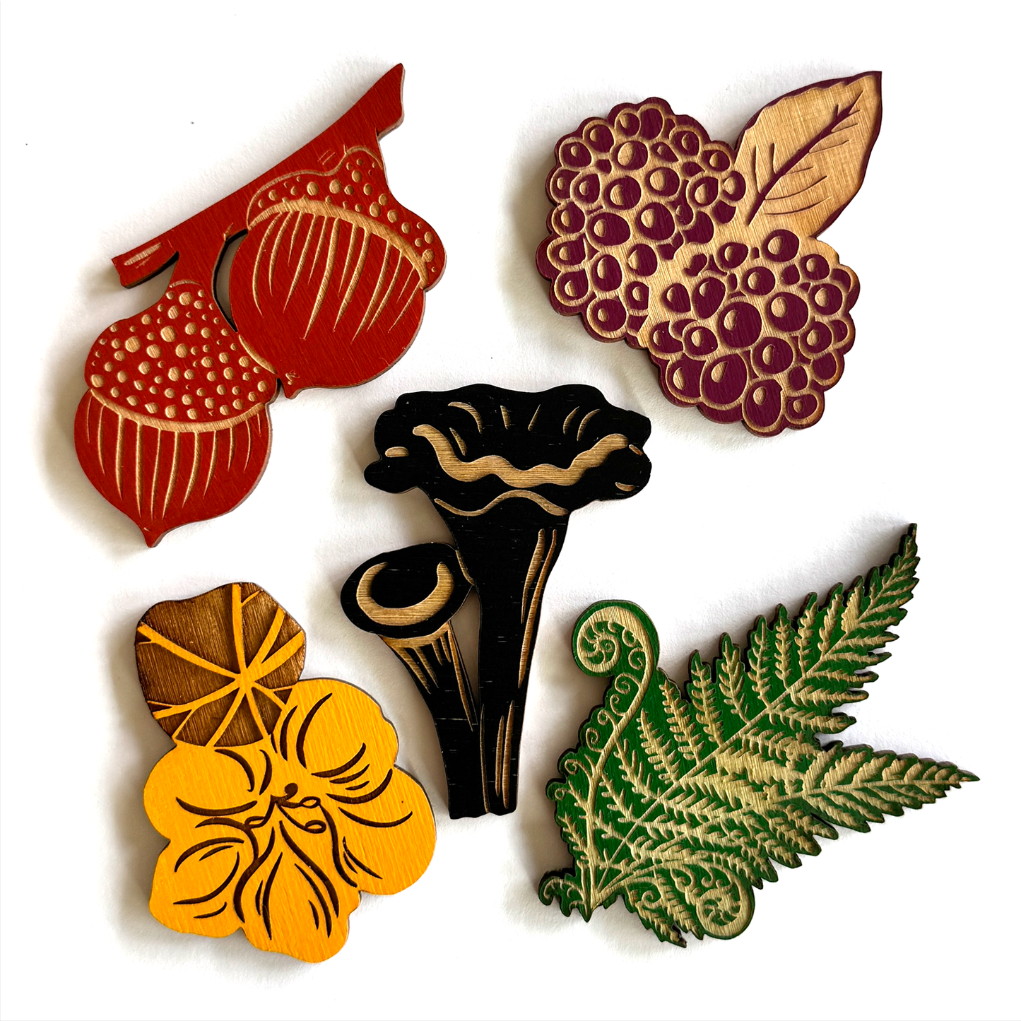 I'd Rather Be Foraging  - Set of 5 Magnets: Various