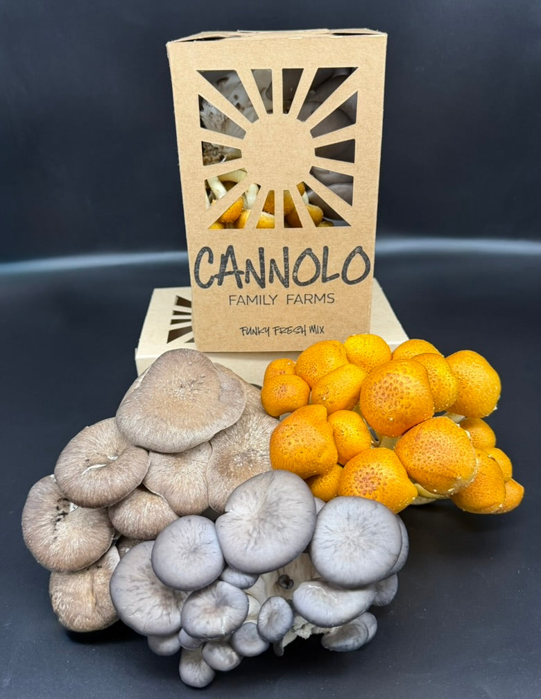 Cannolo Farms Winter CSA Share - Golden Farm Pick-Up