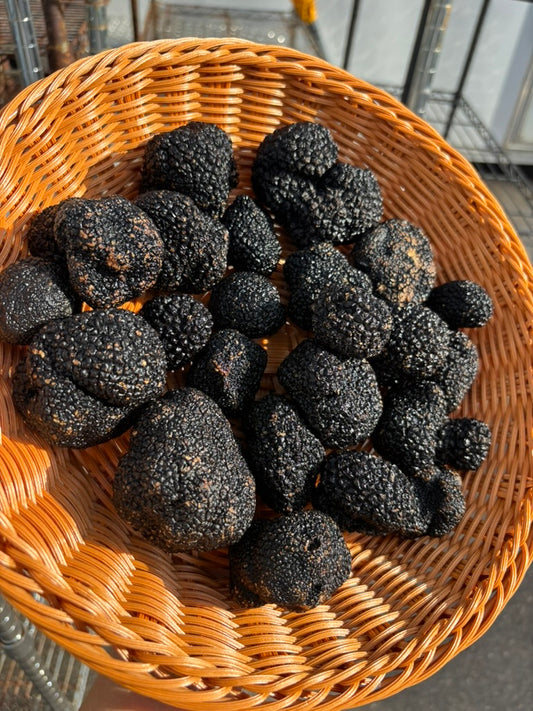 Truffle
