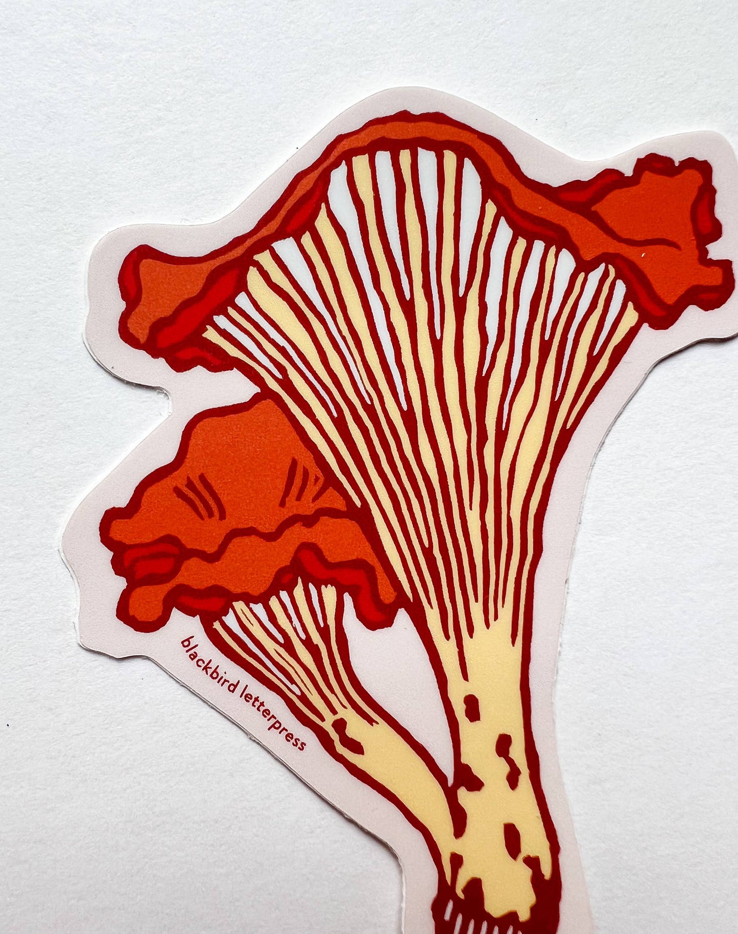 Chanterelle mushroom sticker