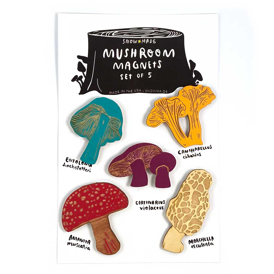 Mushroom - Series 1 - Set of 5 Magnets: Various