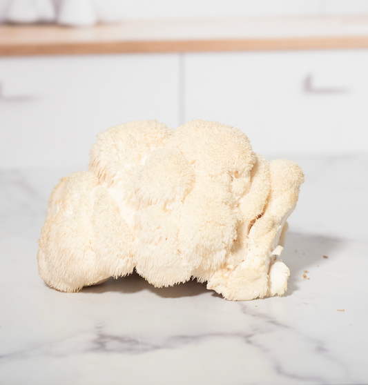 Lion's Mane